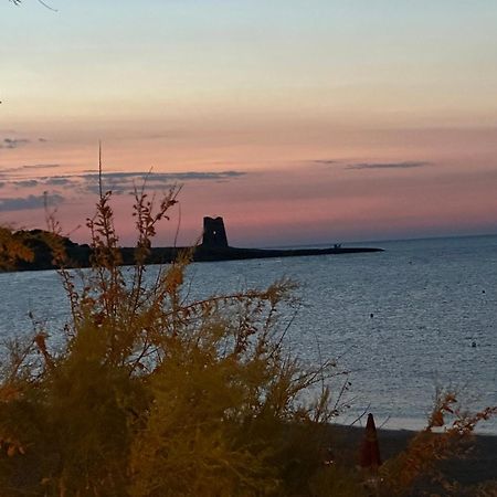 Petra Maris B&B Peschici Exteriör bild